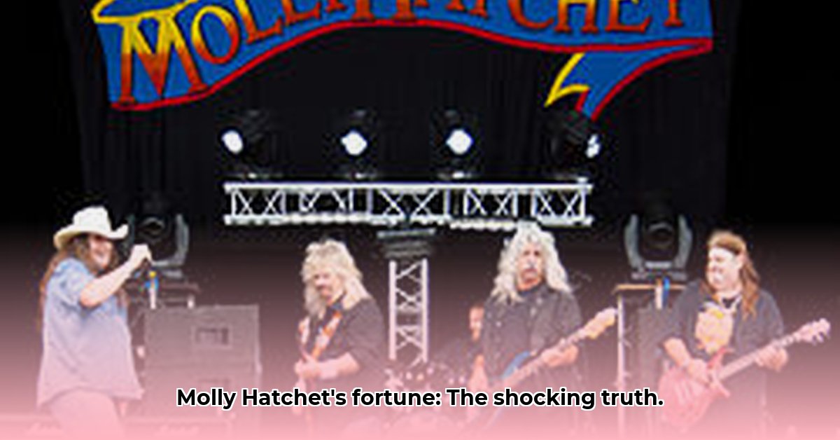 molly-hatchet-net-worth